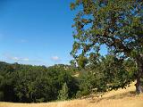 10-A Henry Coe State Park